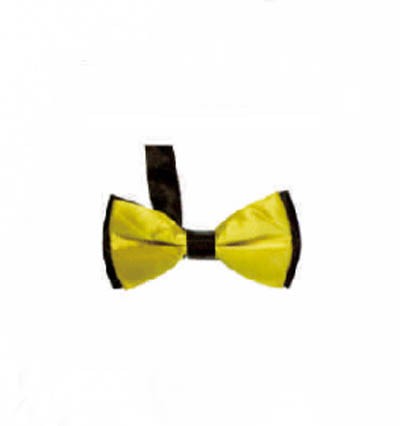 BT021 design two color matching tie for men and women bridegroom's best man evening performance collar tie manufacturer detail view-10